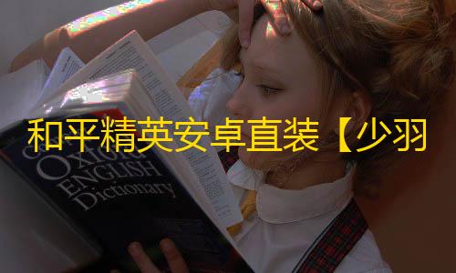 和平精英安卓直装【少羽直装】辅助