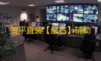 贺平直装【最右】辅助